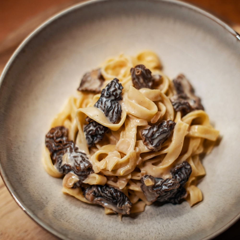 Creamy Morel Mushroo